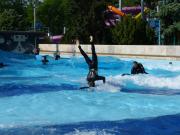 Haladó Surf Rider