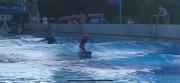 SURFinPALA